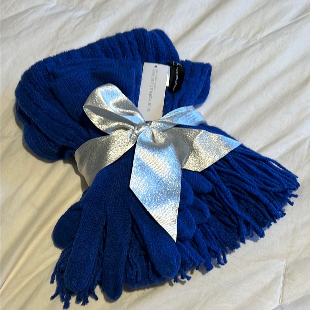 NWT New York & Company Blue Scarf and Gloves Set